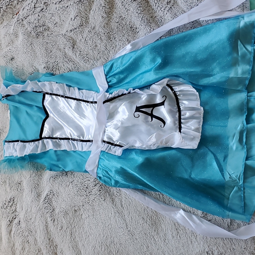 Alice Wonderland Costume